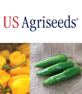 usagriseeds
